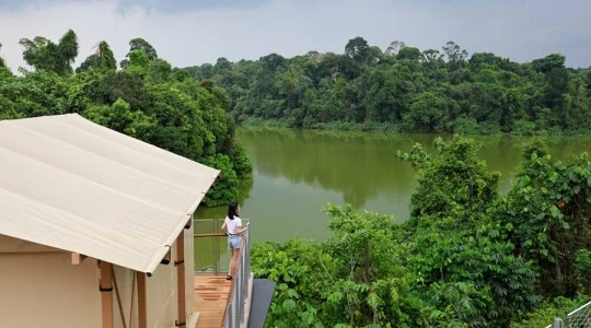 2025年新オープン・Colugo Camp（コルゴキャンプ） 1泊2日宿泊プラン